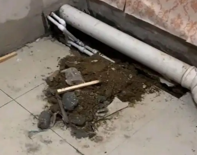 佛山卫生间漏水检测哪家好